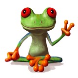 Peace Frog Carpet & Tile Cleaning - Carpet Cleaning in Austin