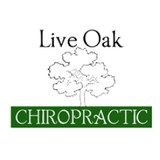 Schwartz Adam DC - Chiropractors in Austin