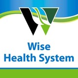 Wise Behavioral Health Service - Counseling & Mental Health in Decatur