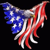 All American Coatings & Rmdlng - Painters & Decorators in Austin