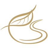 Denise Reynolds Psy D - Psychologist & Counsellor in Austin