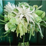 Always & Forever Florist Inc - Florists in Austin