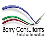 Berry Consultants LLC - Business Consulting in Austin