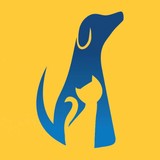 Bark N Purr Pet Center - Pet Stores in Austin