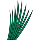 Smarturf - Landscaping in Austin