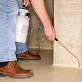 Bishop's Termite & Pest - Pest Control in Wichita Falls