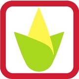 Cornucopia - Food & Related Products in Austin