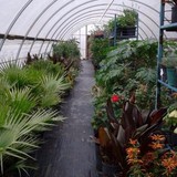 D&L Landscaping - Landscaping in Leander