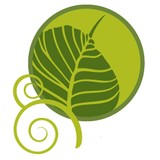 Mind Body Yoga - Yoga in Austin