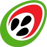 Digimedia.com - Other in Wichita Falls