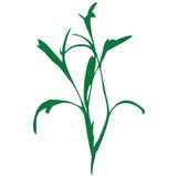 Hickory Street Bar & Grille - Cafes in Austin