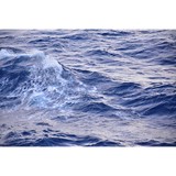 Barker Photography - Other in Chappell Hill