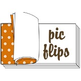 Picflips LLC - Other in Keller