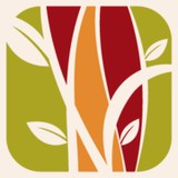 Bruce S Silva pa - Dentists in Austin
