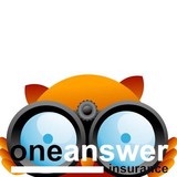 1 Answer Insurance Services Ltd - Other in Polegate