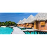 24/7 Travel Insurance