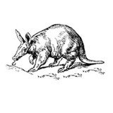 Aardvarks Appliance Repairs - Appliances, Parts & Repair in Southampton