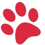 Almora Cattery - Other in Chesterfield