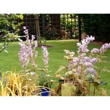 Anglian Garden Services Ltd - Landscaping in Chelmsford
