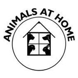 Animals at Home - Pet Services in Bedford