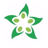 Ascot International (1996) Ltd - Other in Stockport