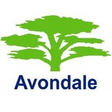 Avondale Environmental Services - Other in Chatham
