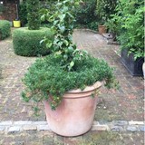 B & N Brickwork - Home Builders & Building Contractors in Guildford