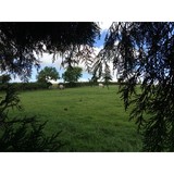 BEALEY - Other in Torrington