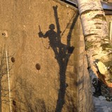 Beaver Tree Surgeons - Other in Lancaster