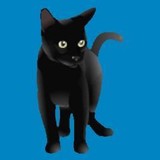 Black Cat PC - Other in Bognor Regis