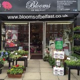 Blooms of Belfast - Florists in Belfast