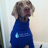 Boiler Friendly Heating Services - Other in Whitley Bay