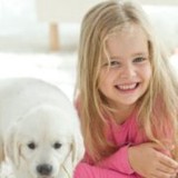 BONE-DRY MK - Carpet Cleaning in Milton Keynes