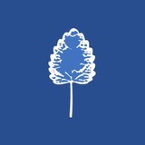 Brighton Dental Centre - Dentists in Brighton
