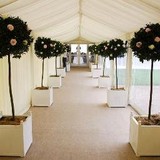 Butters Marquees Ltd - Other in Newcastle upon Tyne