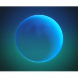 Chandni Chowk - Other in Exeter