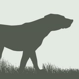 Chris Potter Country Sports