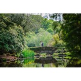 CJP Photography - Wedding in Exeter