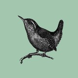 Clapham Books - Bookstores/Bookshops in London