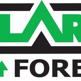 Clark Forest - Other in Dumfries