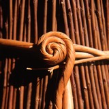 Coates Willow & Wetlands Visitors Centre - Other in Taunton