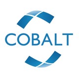 Cobalt Computer Solutions Ltd - Other in Exeter