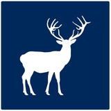 Cole's Estate Agents - Real Estate Agents in East Grinstead