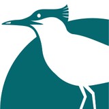 Colebrook Sturrock - Real Estate Agents in Canterbury