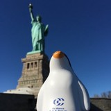 County Contractors - Electricians in Swansea