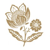 Daisy Chain - Florists in Brampton