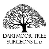 Dartmoor Tree Surgeons Ltd - Other in Exeter