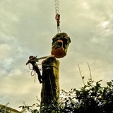 Devon Tree Services - Landscaping in Newton Abbot