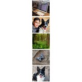 Dirleton PC Doctor - Other in North Berwick