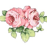 Dream Wedding Dress - Bridal & Wedding in Nottingham